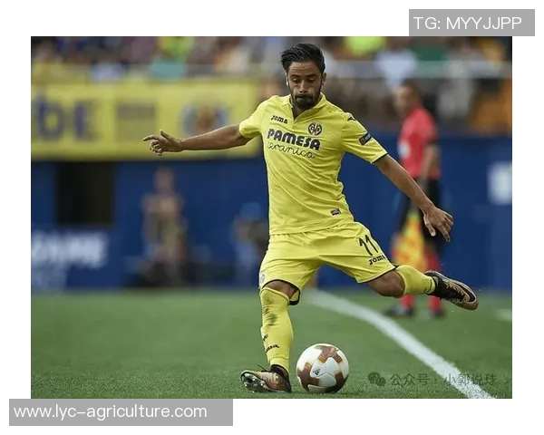 西班牙与人卢多戈雷对决谁将获得胜利分析与预测