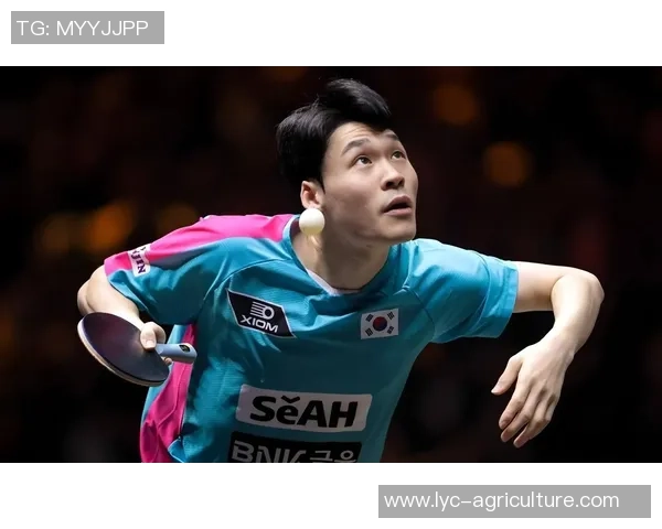 WTT德国赛：11月5日路程发布：雨果直面张禹珍，林昀儒张本首秀