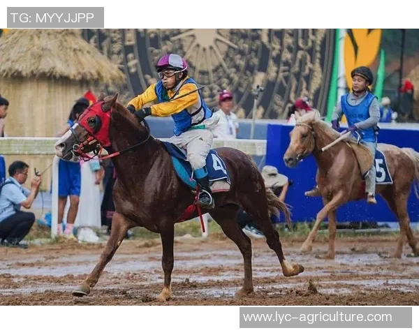 三都:“一匹马”赛出开展新天地