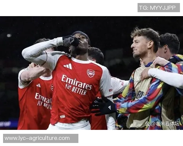 厄德高:马杜埃凯在周三晚的第一球十分精彩,真为他感到高兴