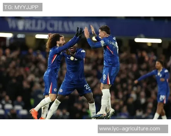 电讯报：法尔克面对要害一周，若再输切尔西和利物浦或将下课